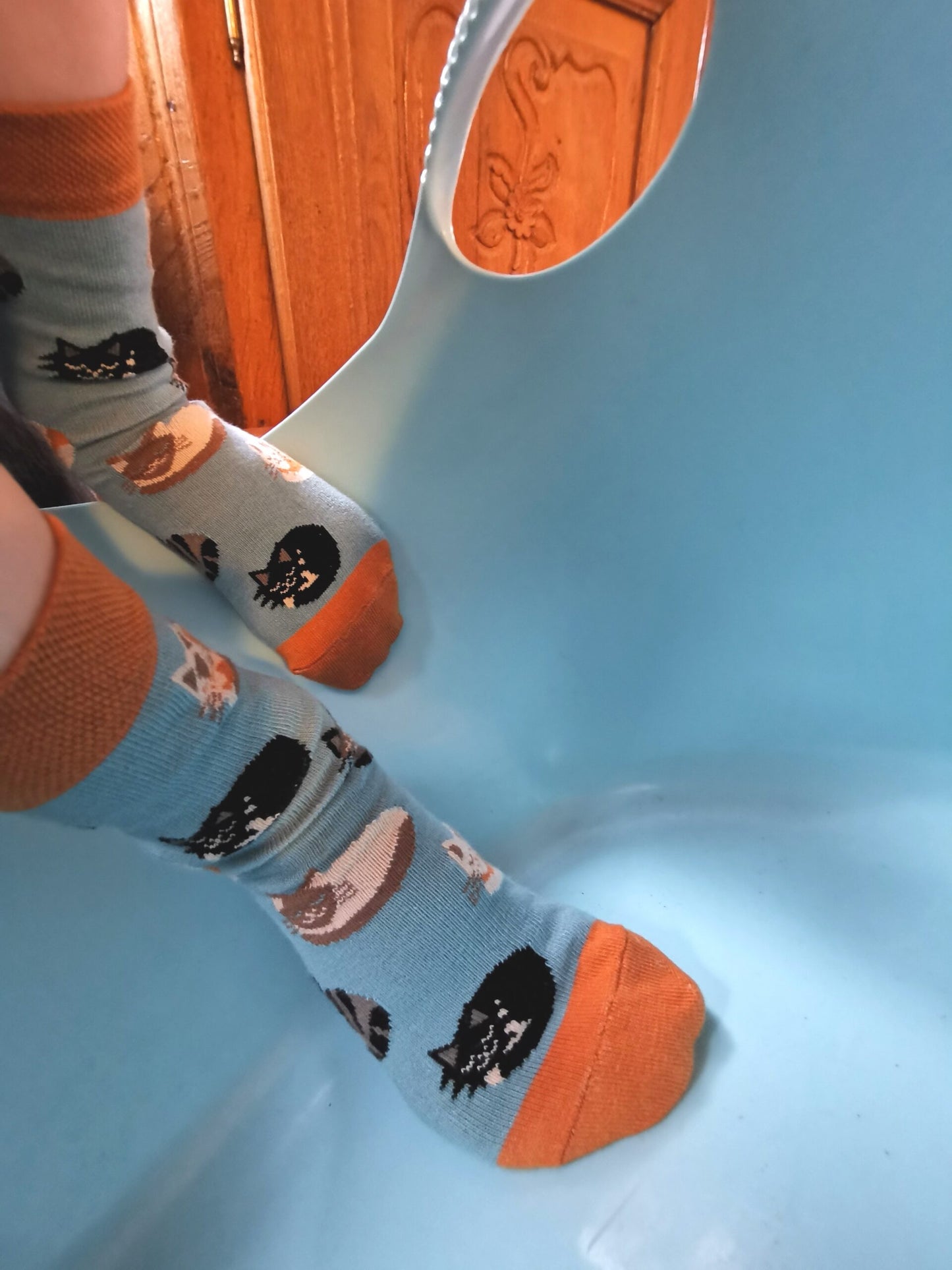 Kinder und Damensocken mit Kätzchen in allen Farben.