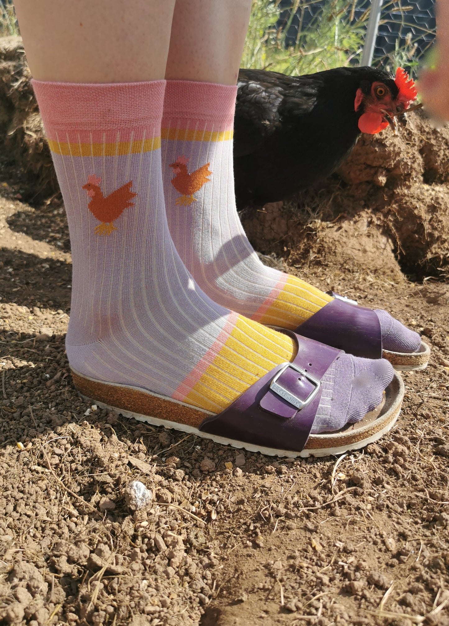 Kleiner Huhn auf Rippstrck Socke in lila mit colourbock Akzenten on gelb und rosa.