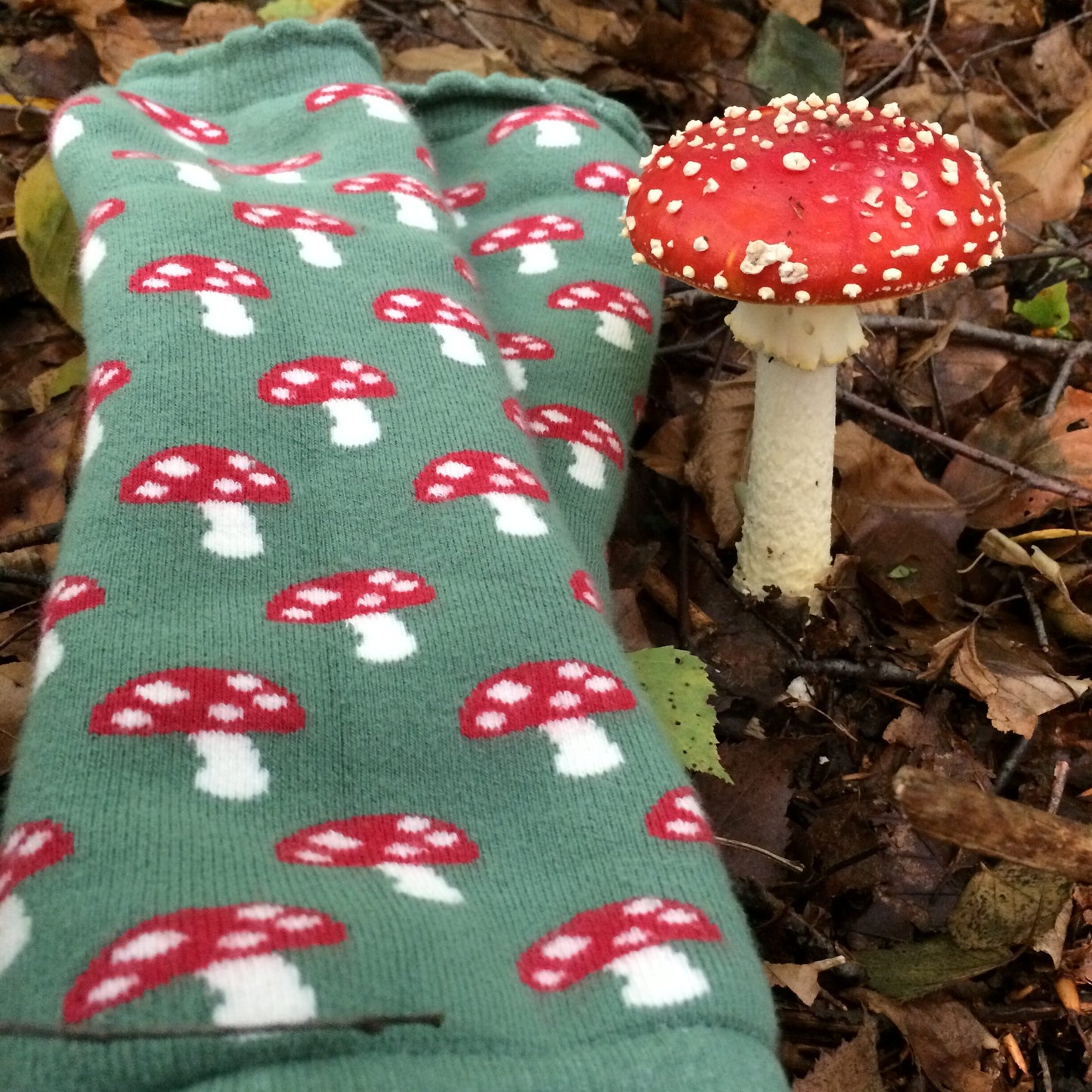 Gemütliche Frottee Stulpen mit Fliegenpilzen in den Farben gruen,rot, weiß