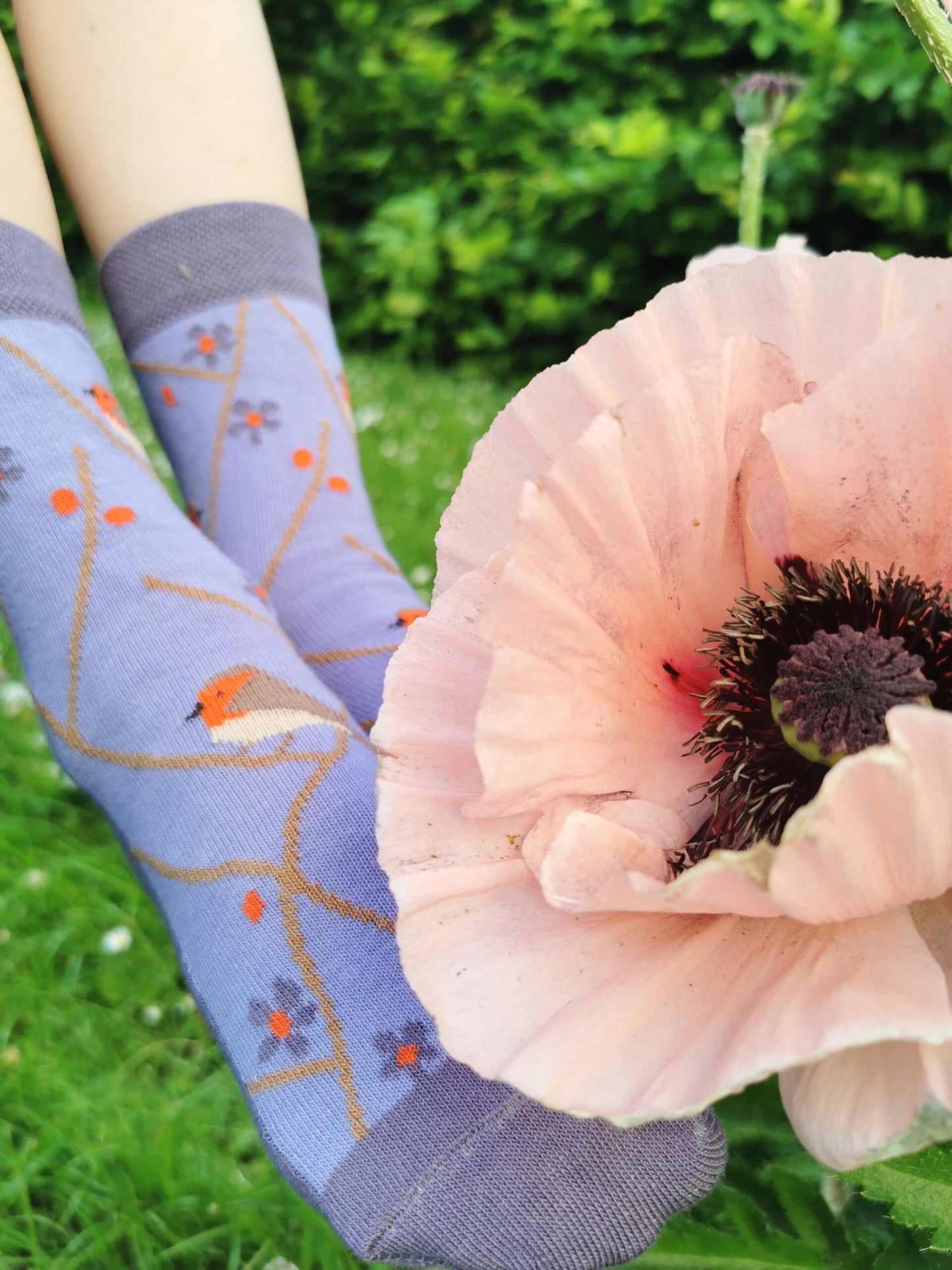 Socke in lila mit Rotkehlchenmuster.