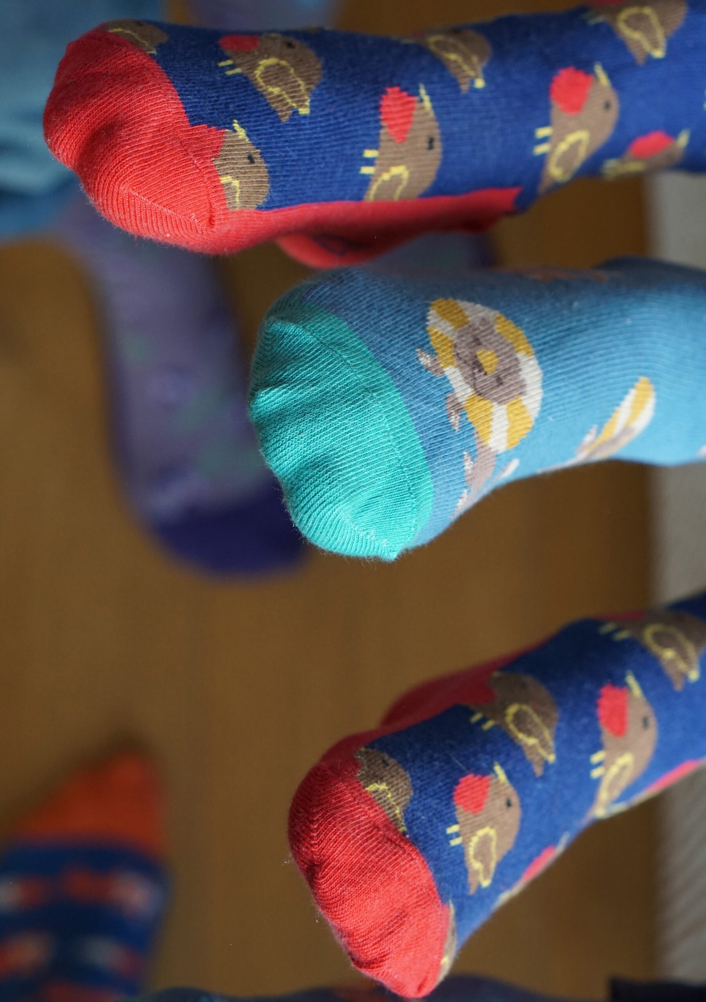Kindersocken mit Löwen und Rotkehlchen