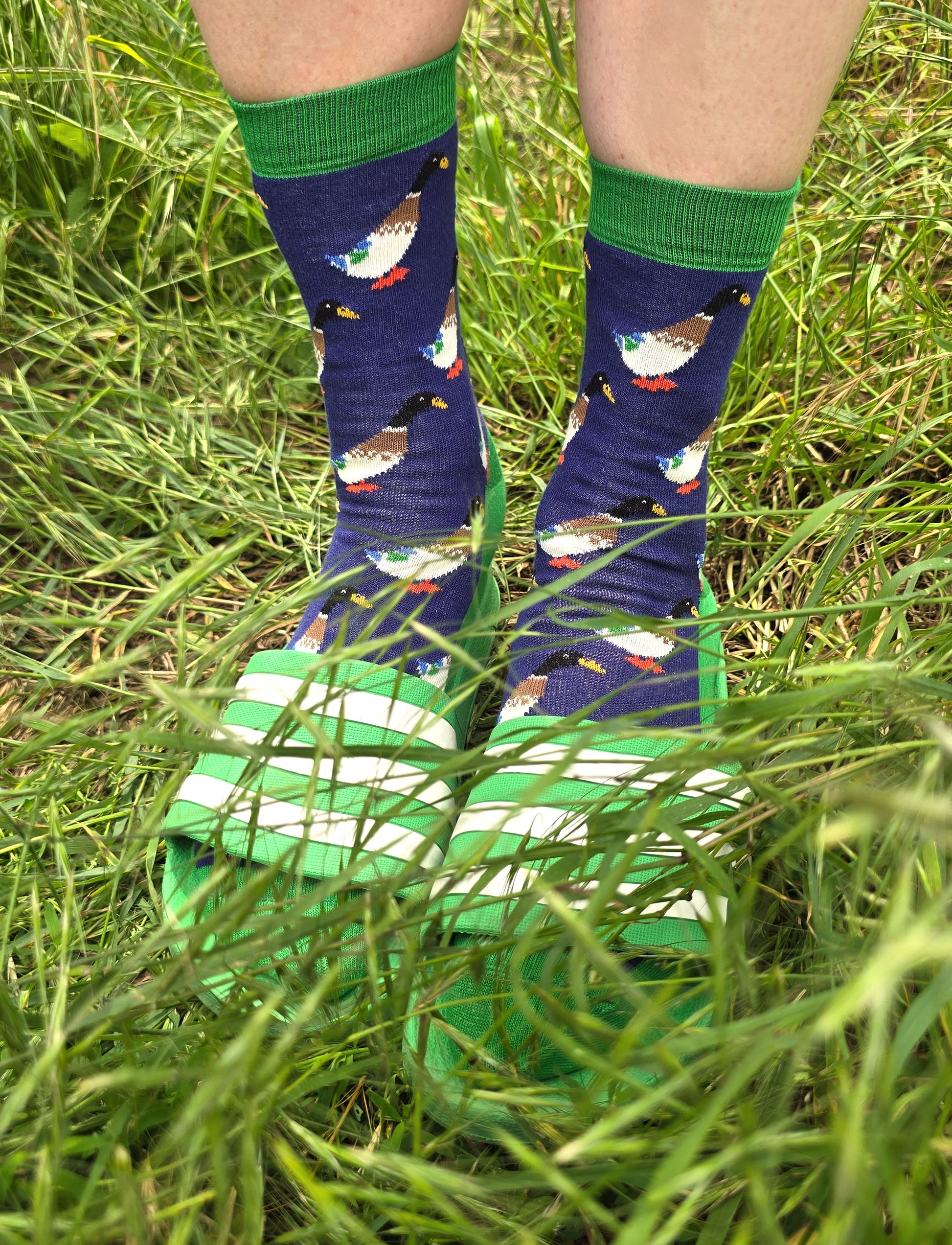 Blaugrundige Socken mit grünen Kanten und Erpel Motiv.