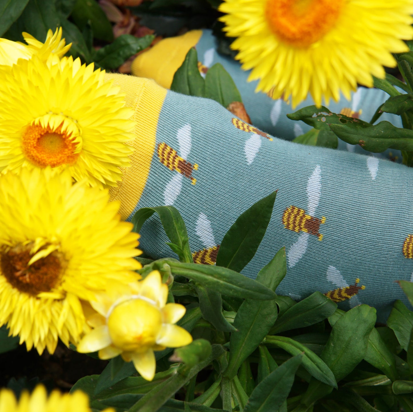 Socken mit Bienenmuster in blau und gelb.