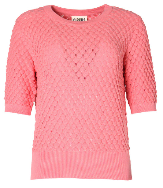 Sweater Coral in shell knit by Circus