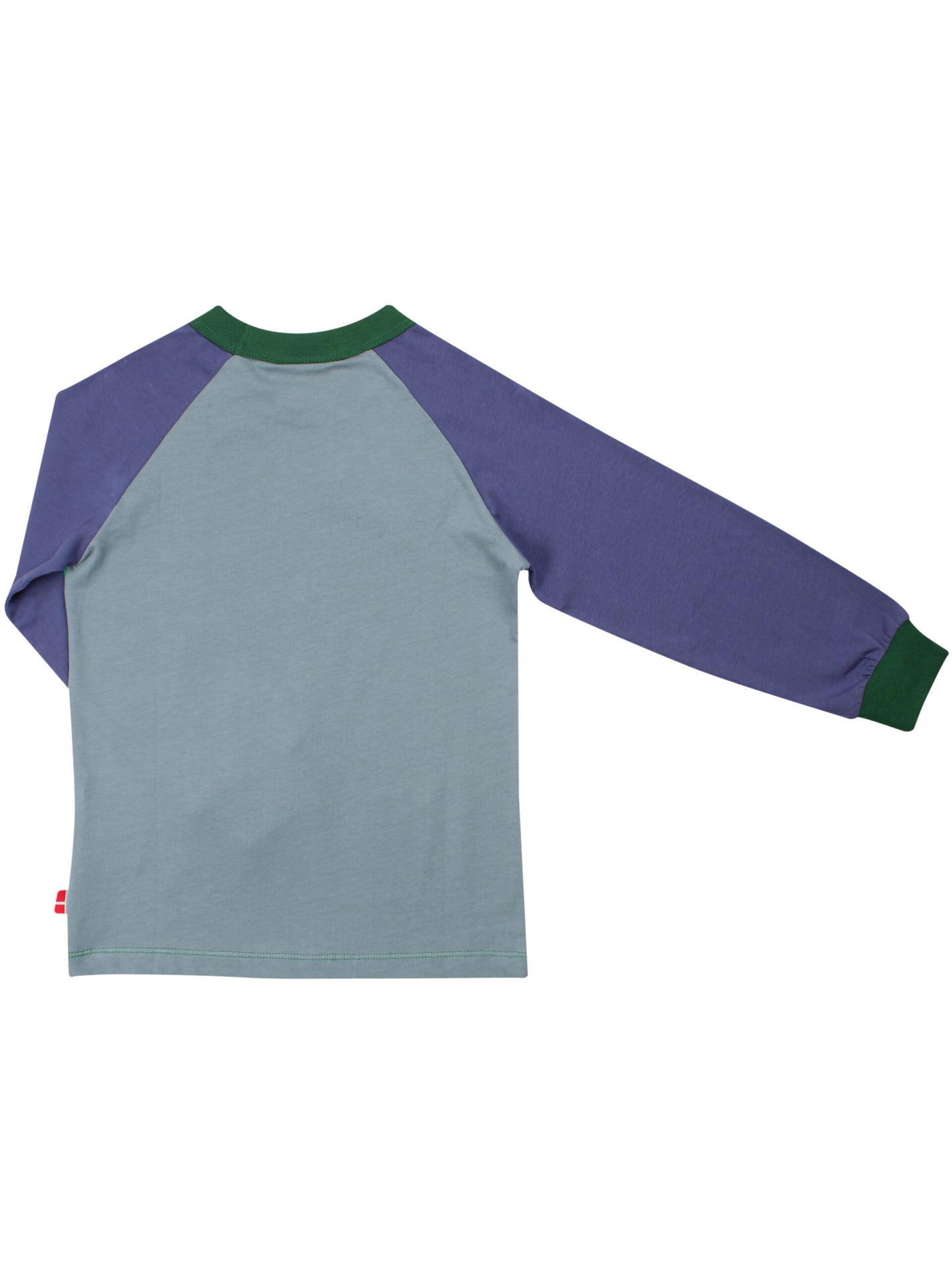 Danebasic Raglan Biking Viking blue/green long sleeve by Danefae