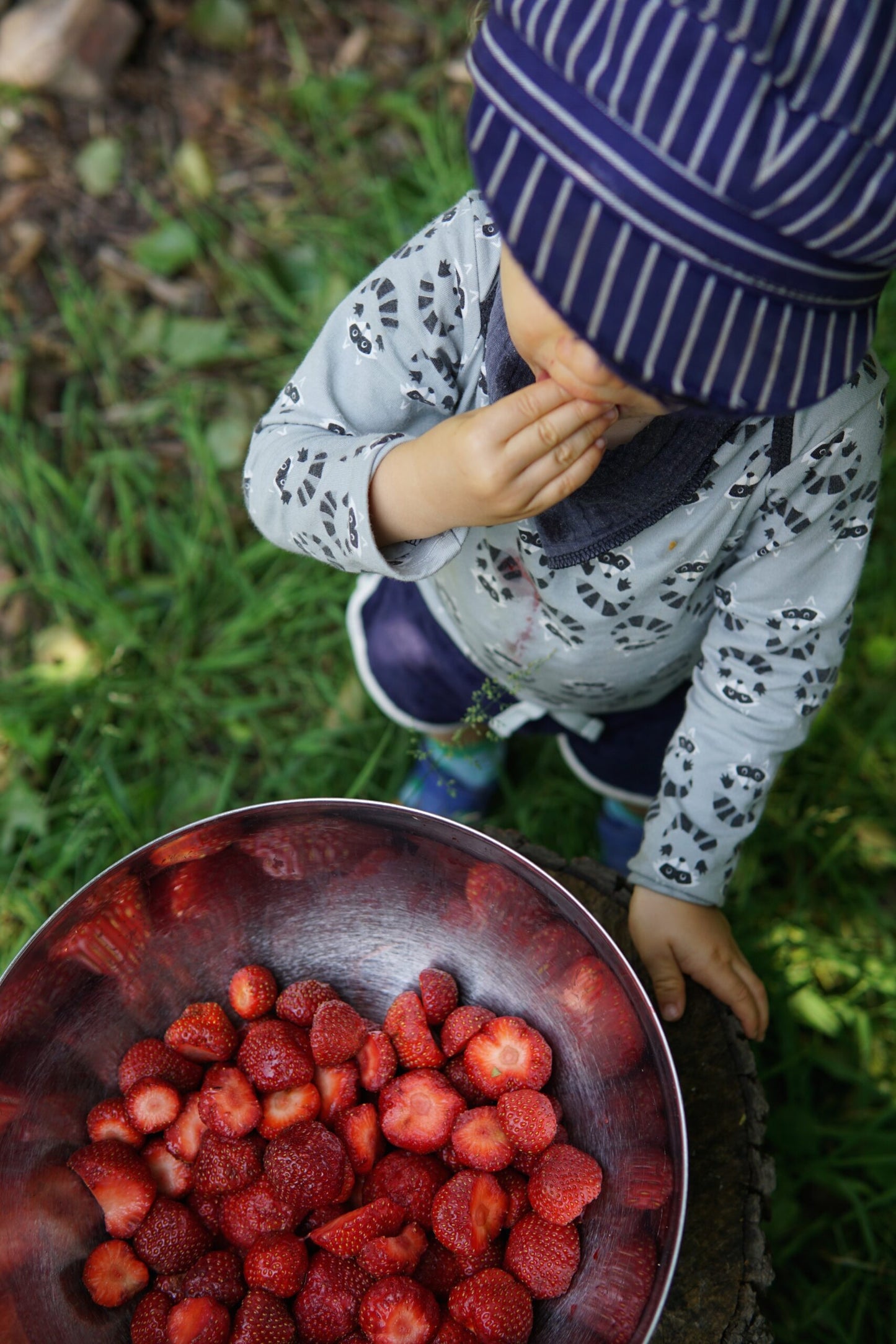 Babybody Waschbär von Fäulein Prusselise