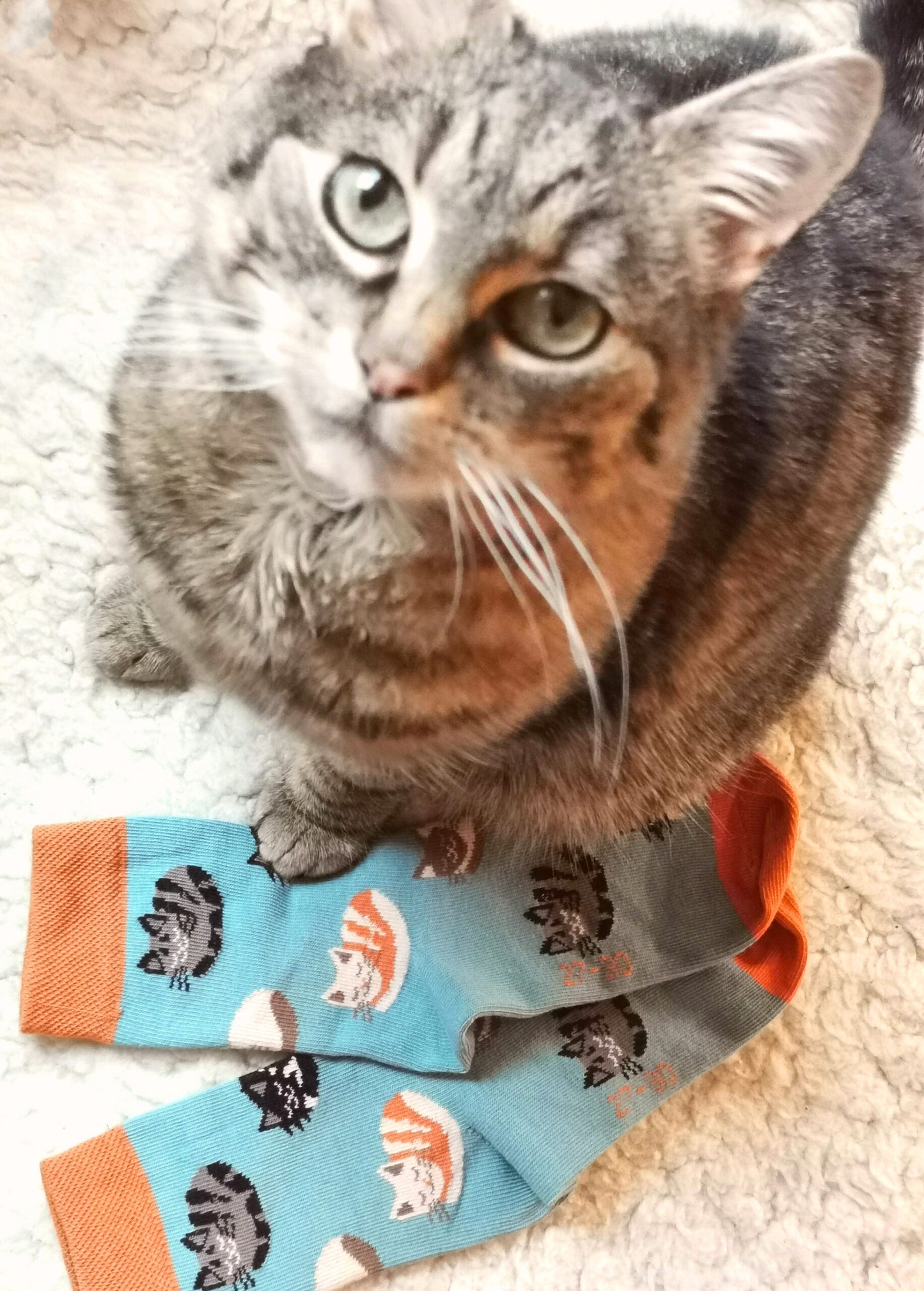 Katzenbande Socke von Fräulein Prusselise