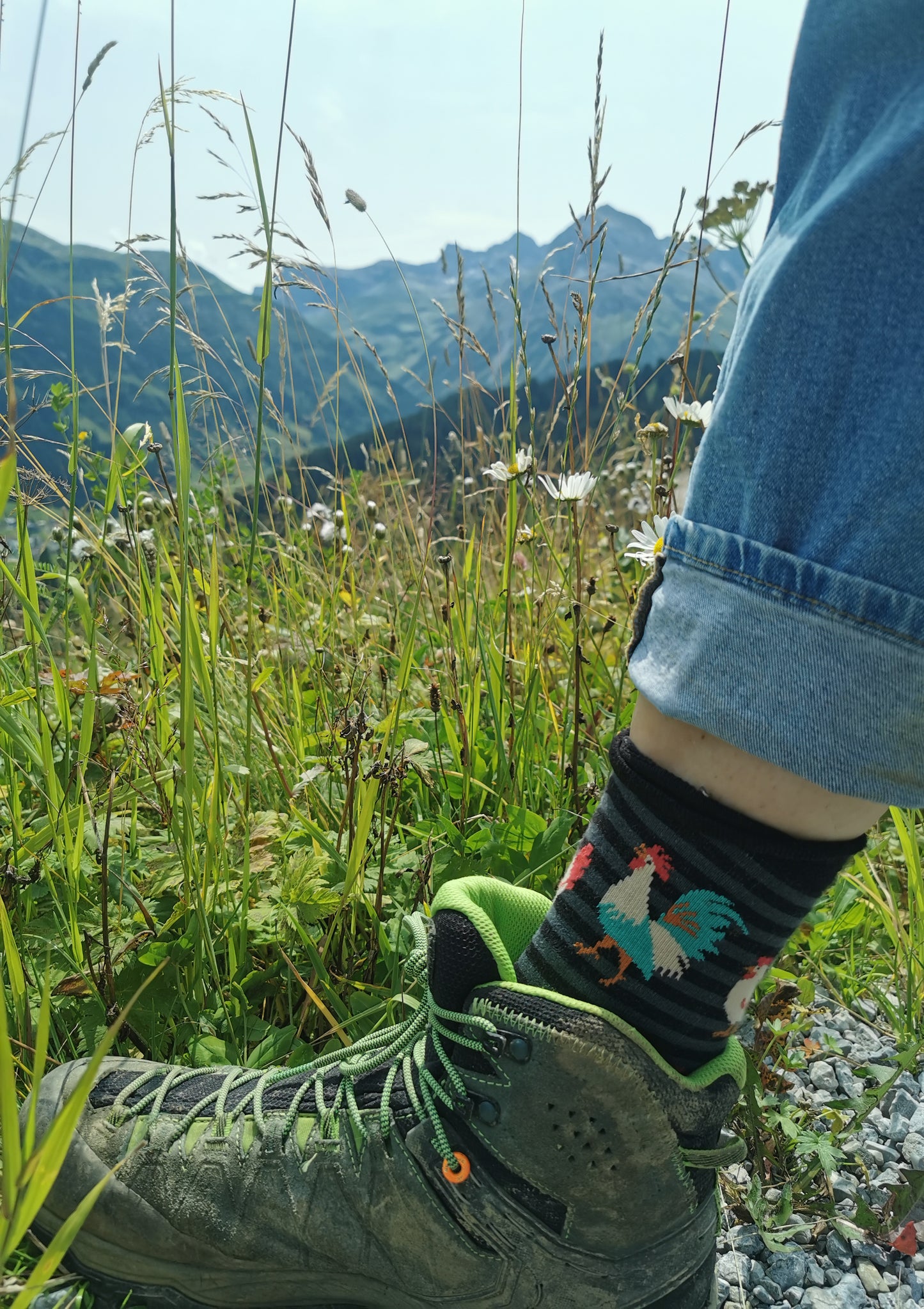 Gringete Socken in schwarz und grau mit Hühnern allover und einem farbenprächtigen Hahn.