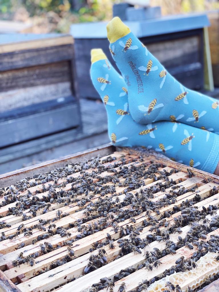 Bienen Socke von Fräulein Prusselise