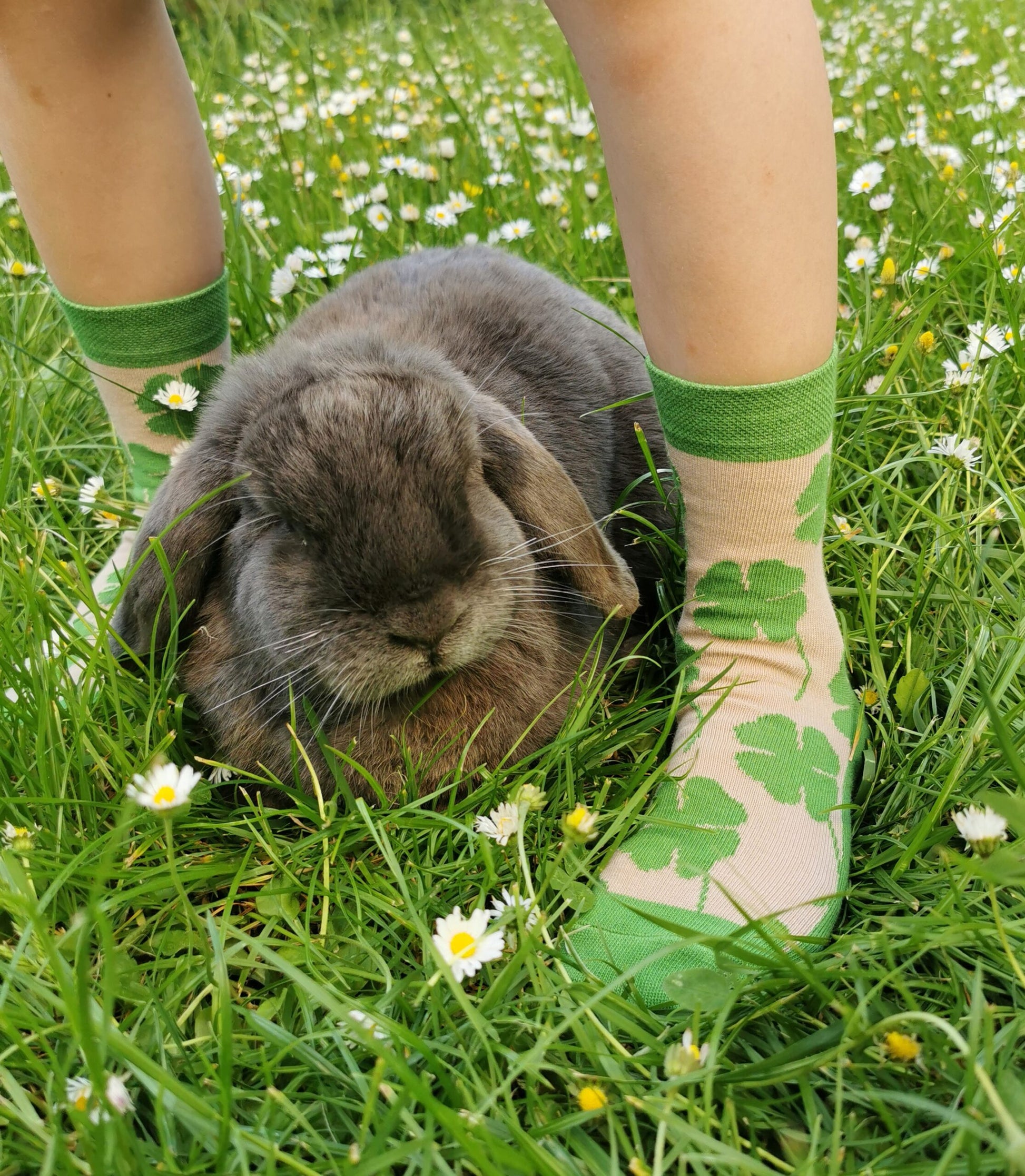 Klee Socke mit Hase