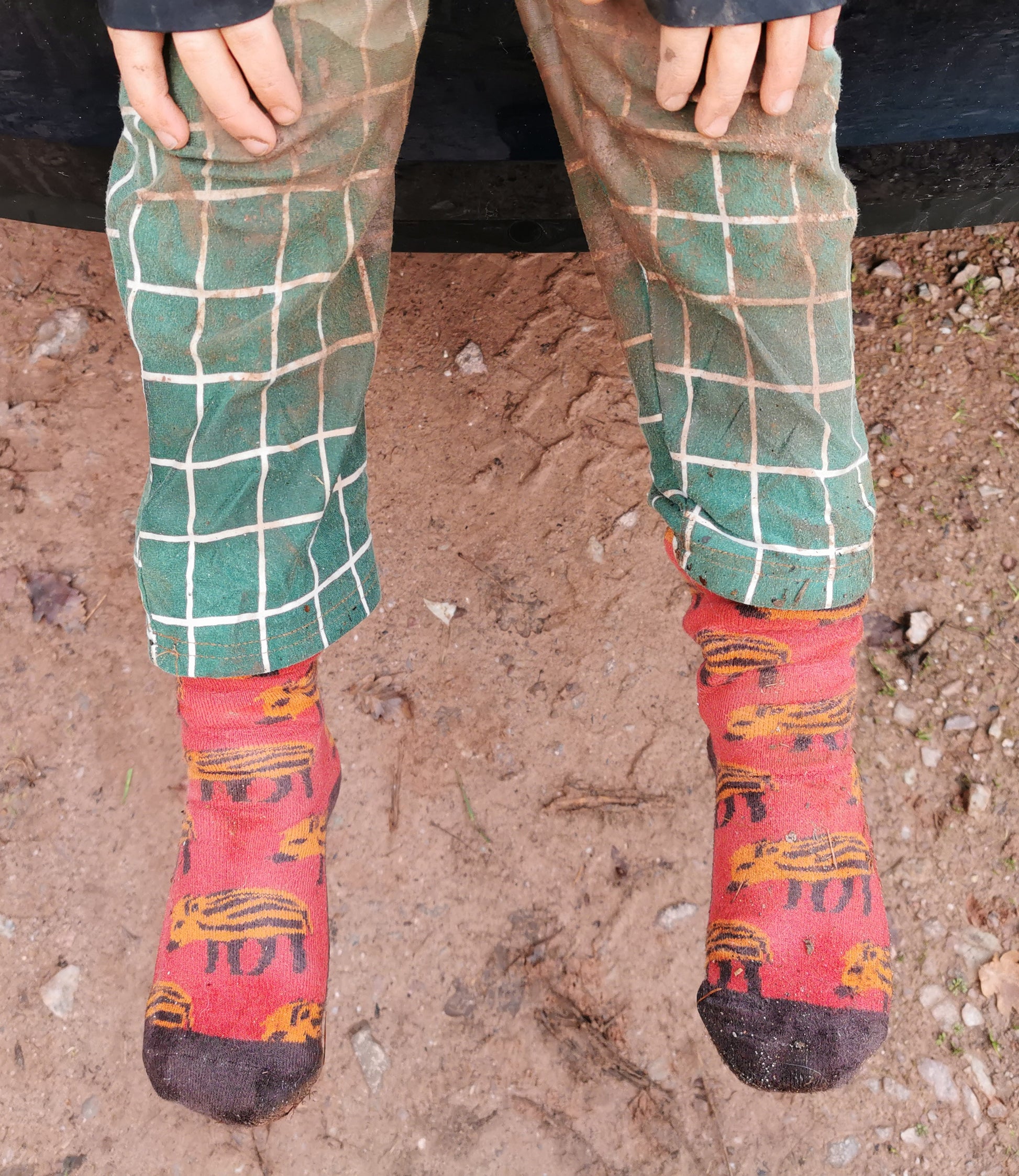 Tragefoto von den Prusselise Kindersocken mit tollem Frischlingmotiv in rost und braun.