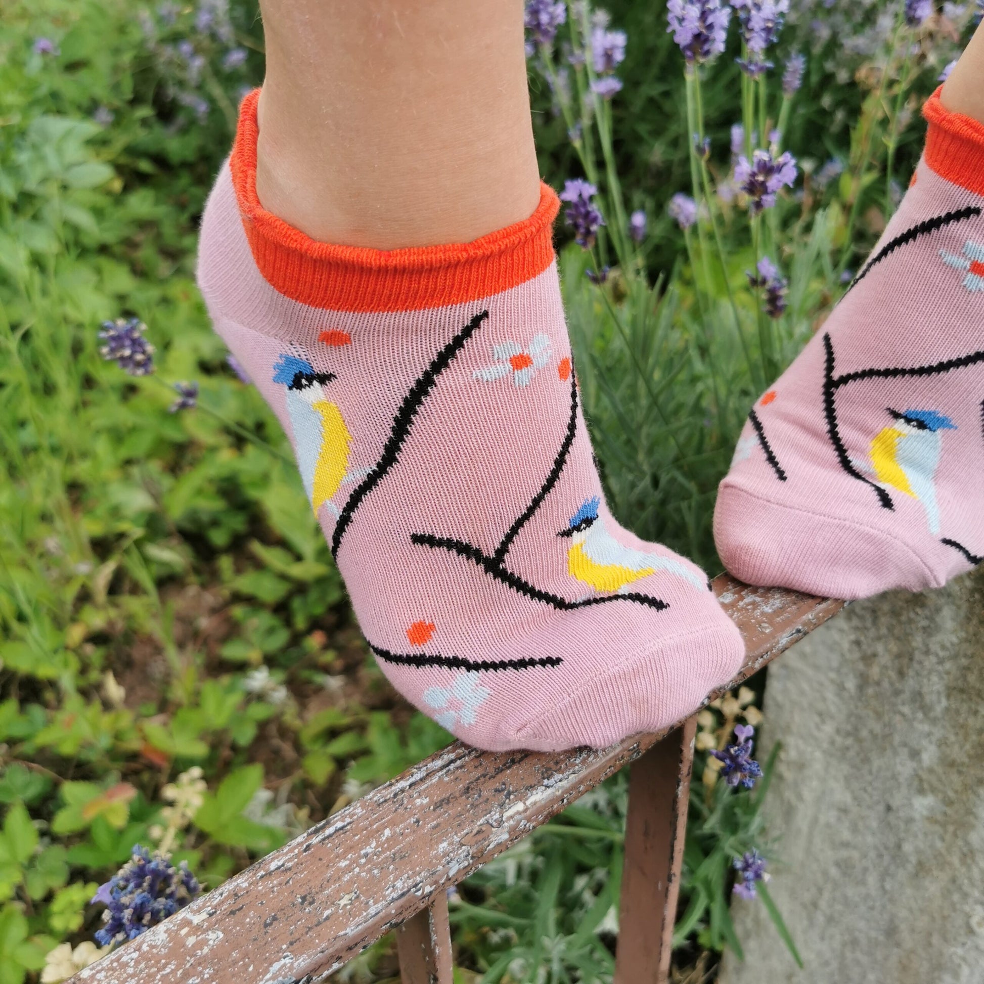 Tragefoto von den wunderschoenen Prusselise Sneakersocken mit sueßem  Blaumeisenmotiv in rosa.