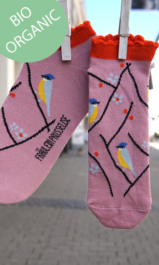 Wunderschoene Prusselise Sneakersocken mit sueßem  Blaumeisenmotiv in rosa.