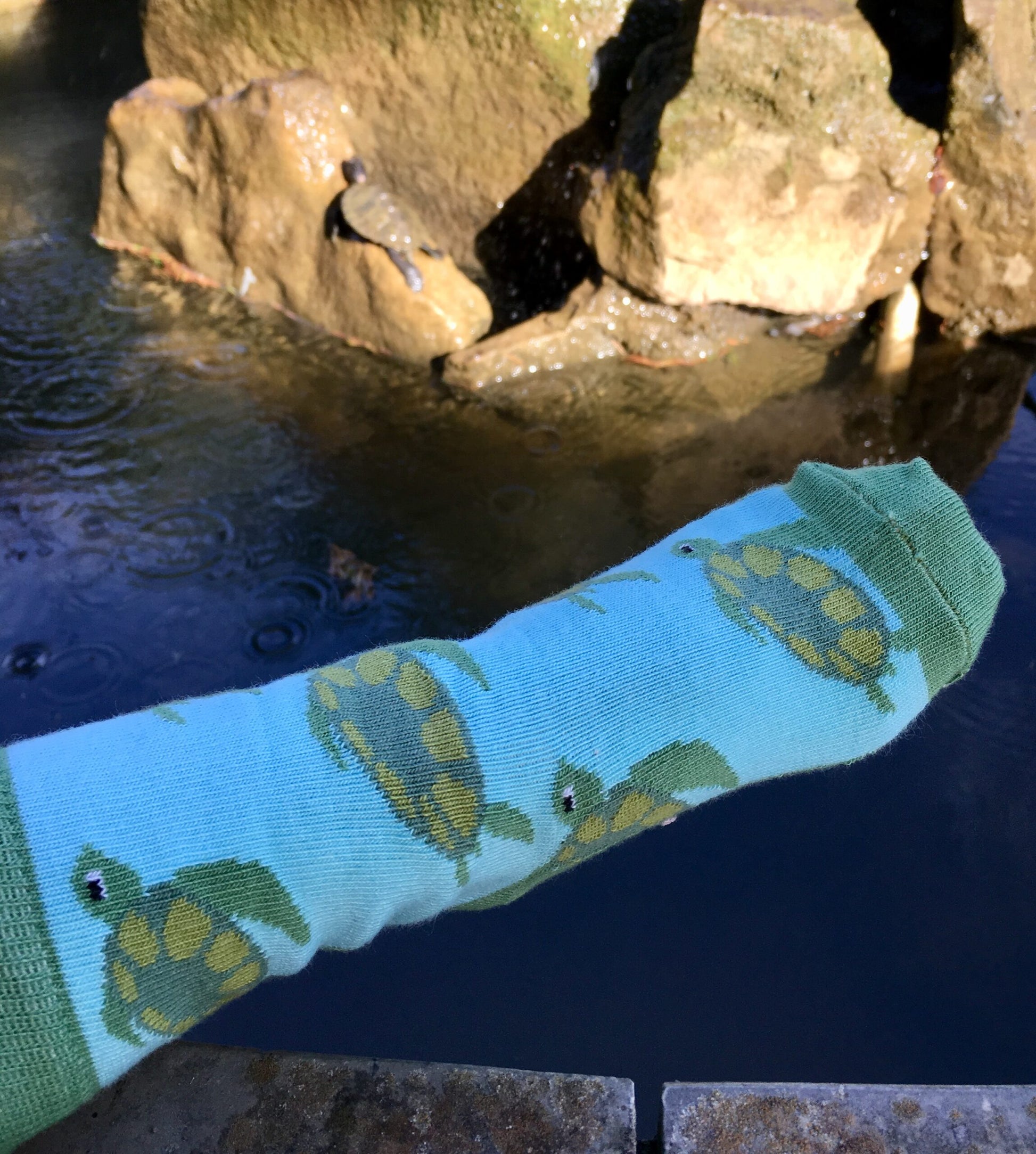 Kindersocke Tragefoto mit schoenem Schildkroetenmotiv in blau und gruen.