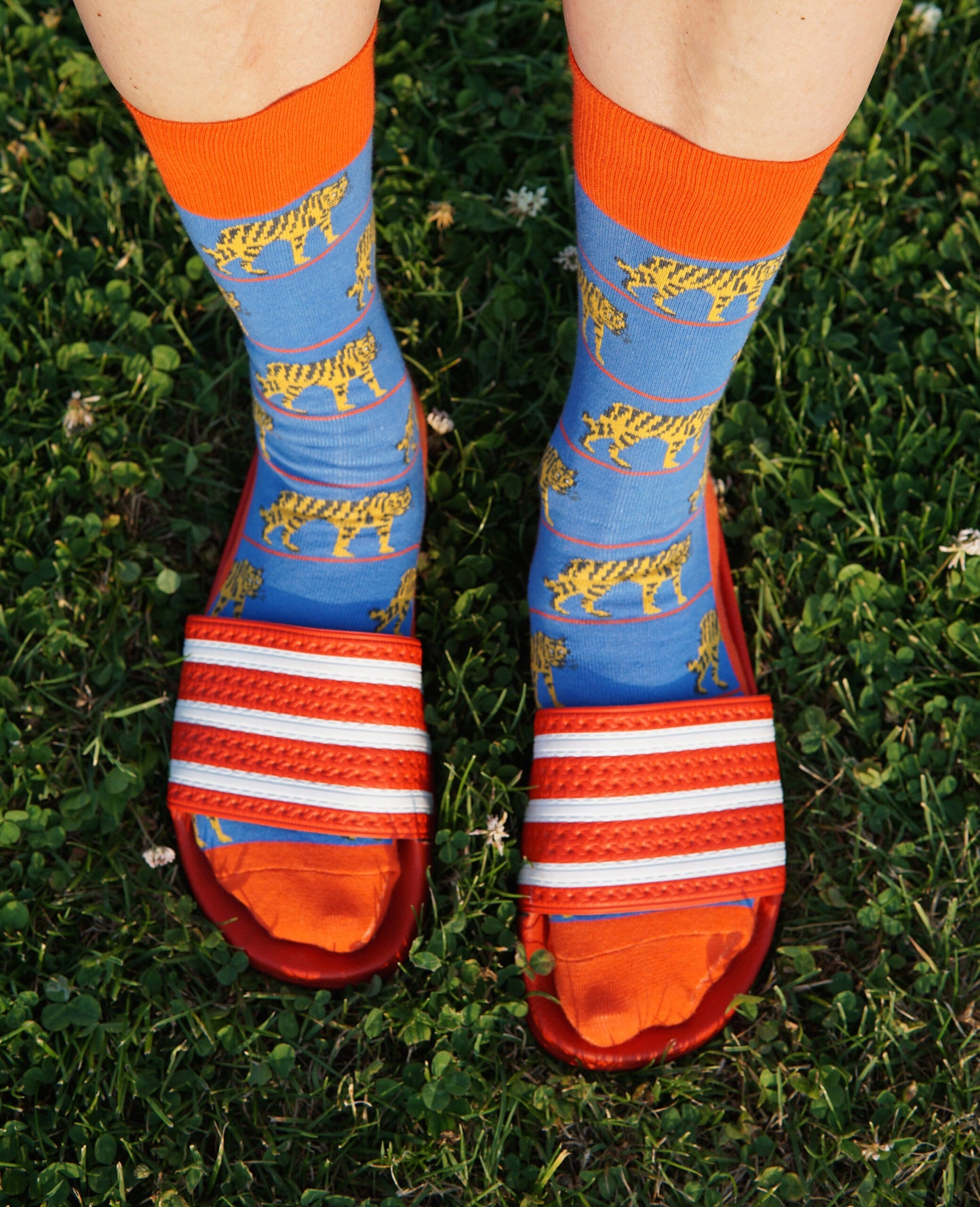 Schoenes Tragefoto von den Prusselise Damensocken mit tollem Tigermotiv in blau und rot. 