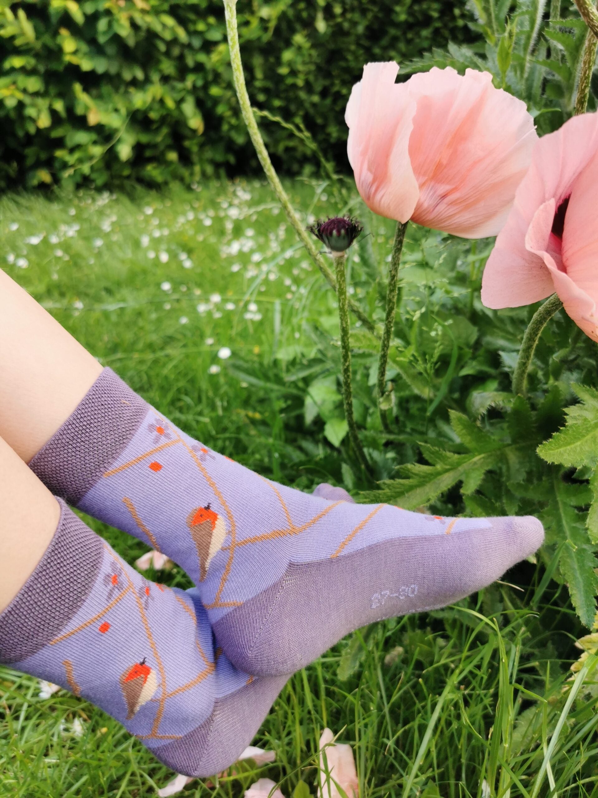 Socke in lila mit Rotkehlchenmuster.