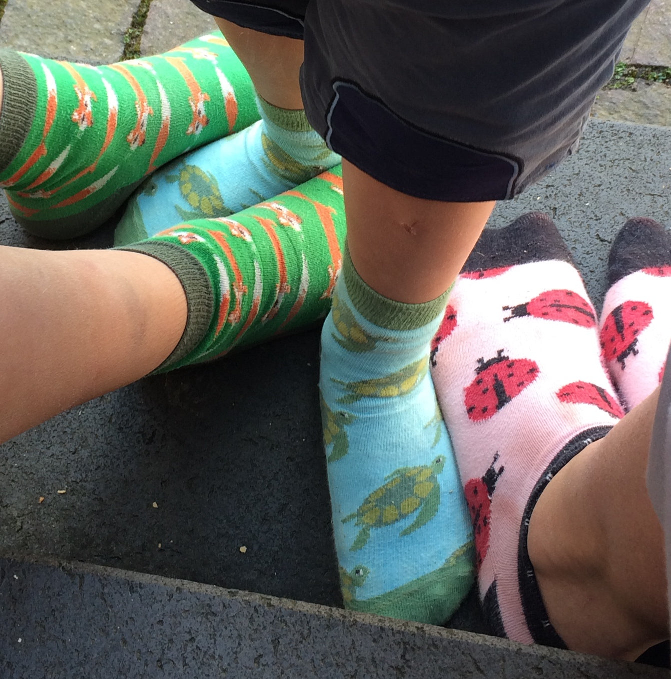 Prusselise Kindersocken mit Schildkroeten,Marienkäfer und Fuchsmotiv.