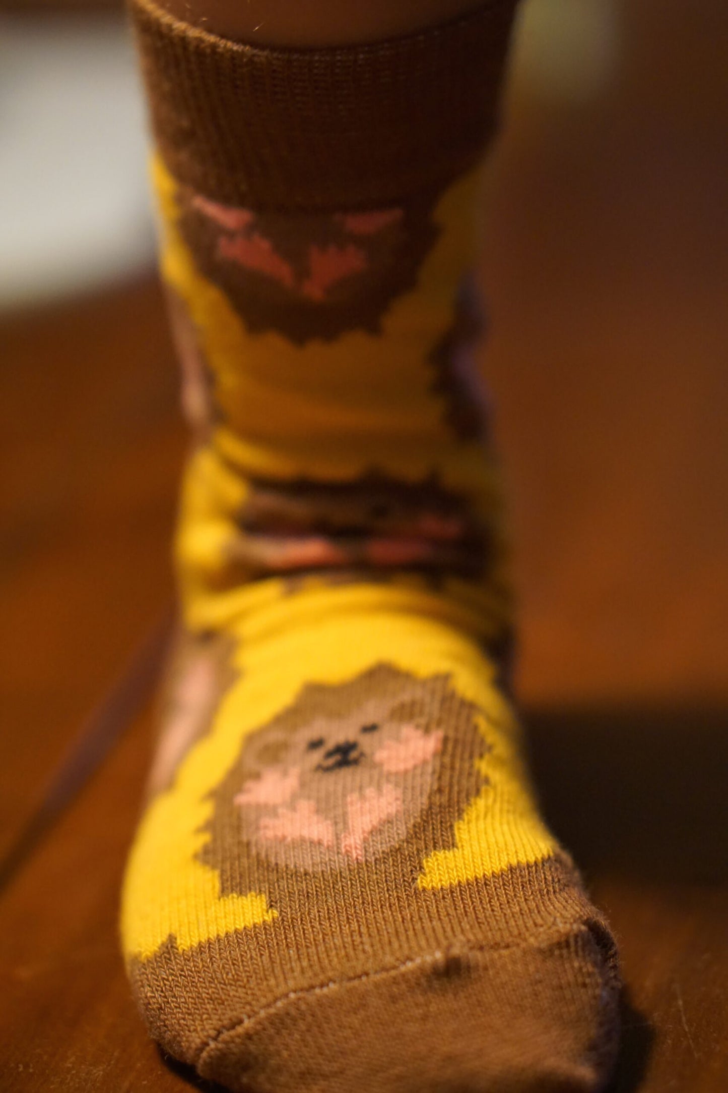 Tolles Tragefoto von den Prusselise Kindersocken mit schoenem Igelmotiv in braun und gelb. 