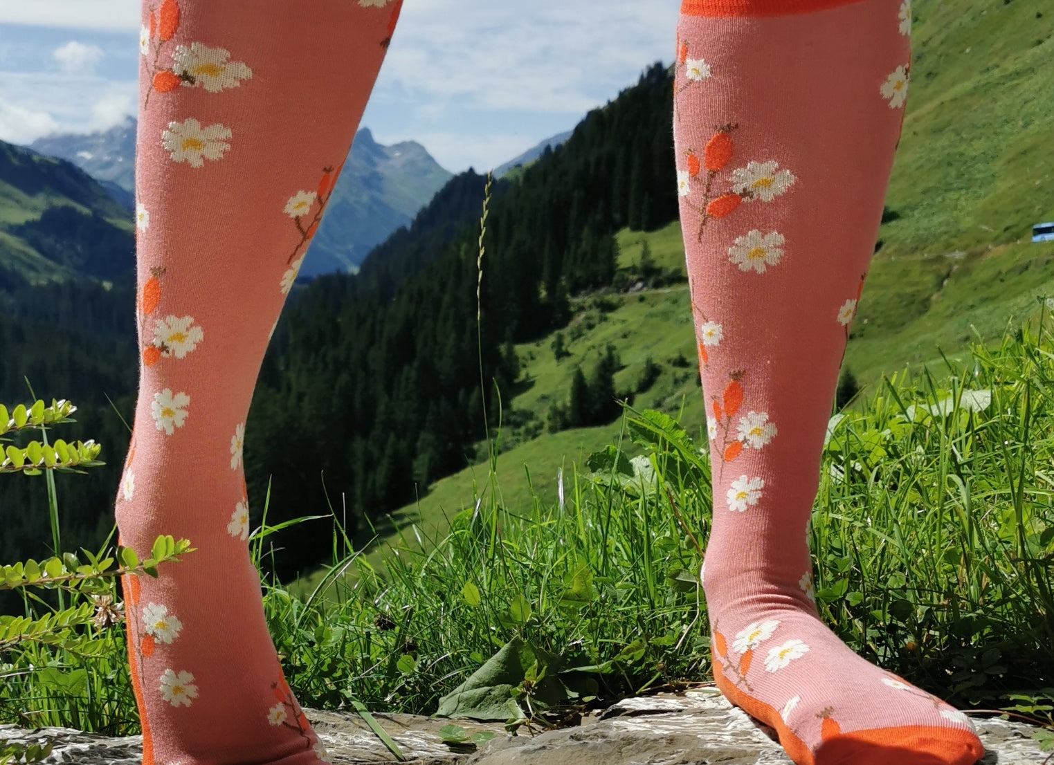 Tragefoto von den Prusselise Damenkniestruempfen mit schoenem Hagebuttemuster in rosa und orange.