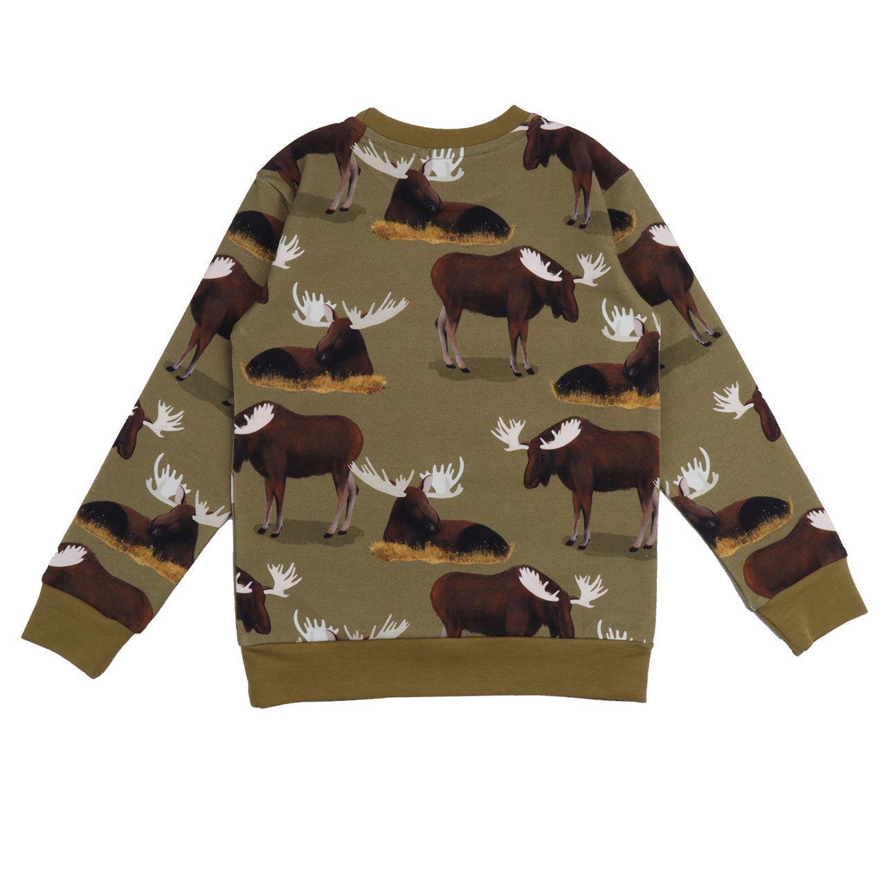 Walkiddy Elch sweater